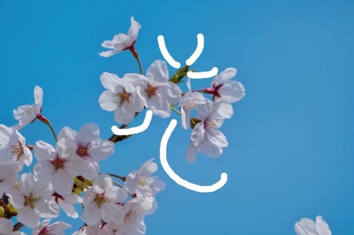 &#76;&#69;&#89;&#85;&#46;&#67;&#79;&#77;&#45;&#20048;&#40060;&#40;&#20013;&#22269;&#41;